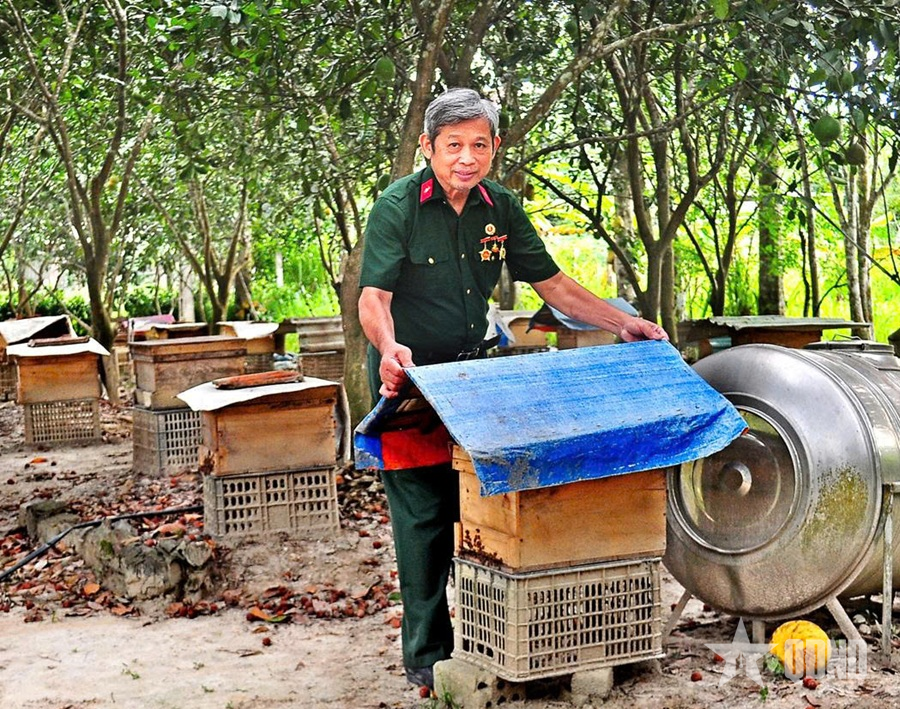 Cựu chiến binh khéo làm kinh tế